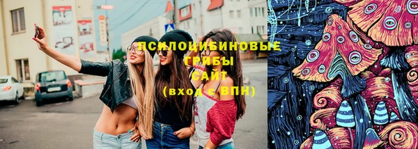МДПВ Алексеевка