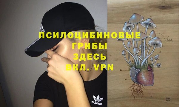 МДПВ Алексеевка