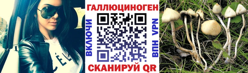 Псилоцибиновые грибы Psilocybe  ссылка на мегу онион  Саки 