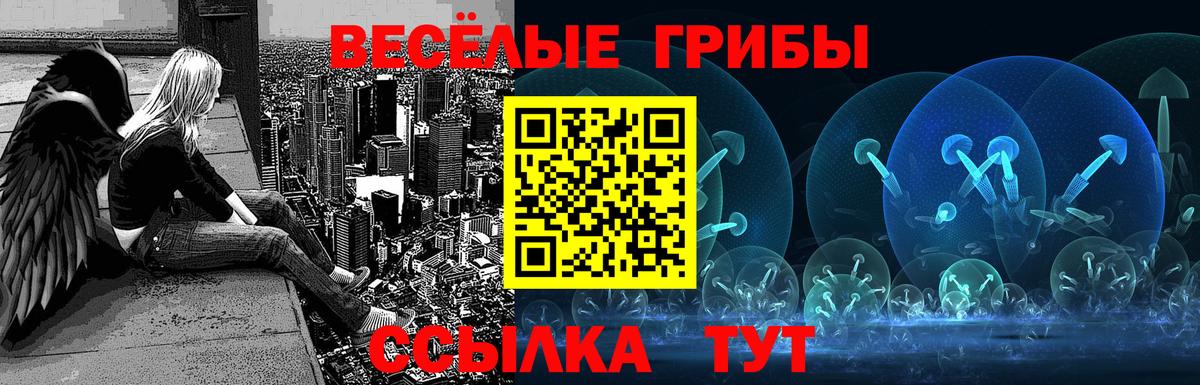 Псилоцибиновые грибы Magic Shrooms Саки